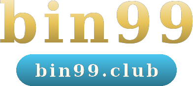 bin99 logo